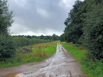Peaceful walks
