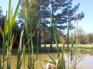 Fishing pond