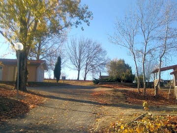 Autumn on site
