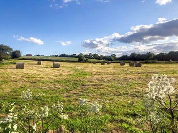 Spacious pitches