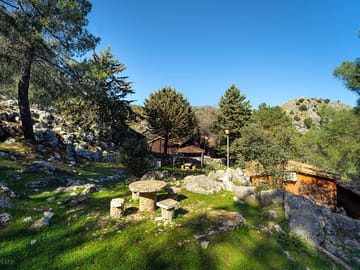 Tree-shaded hillside site