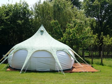 The willow tent