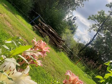 Greenery around the site