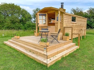 Hedgehog patio