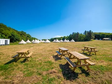Picnic tables