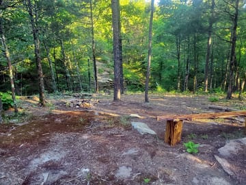 Views over the creek