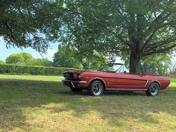 Mustang