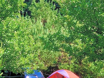 Freedom camping in solitude