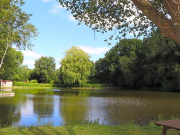 Trout and carp fishing on site