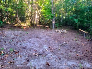 Private woodland drive-in pitch