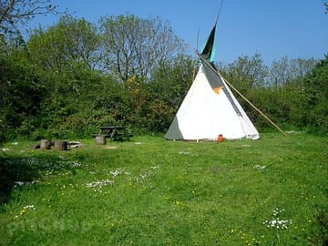 Tipi