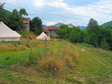 Grass pitches