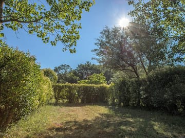 Hedges around pitches for privacy