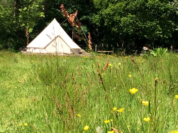 Onnen in the small hay meadow