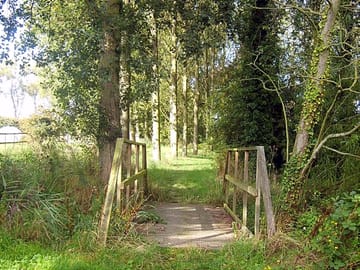 The bridge