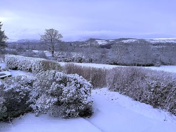 Snowy landscape