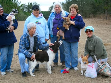Pets and their owners have a great time