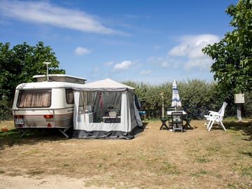 Grass pitches