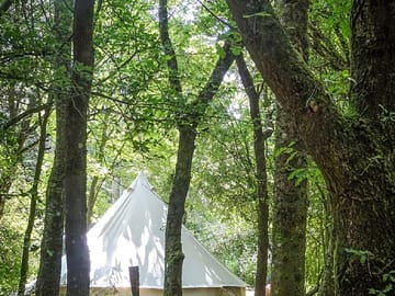 Bell tent