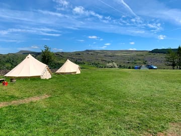 The field
