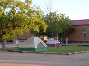Grass sites and cabins