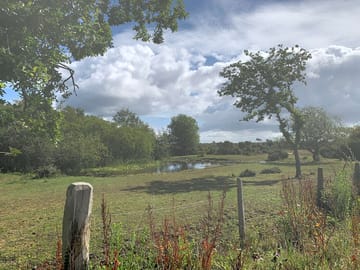 The lovely pond just outside the farm. fantastic for pond dipping or watching dragon flies and birds
