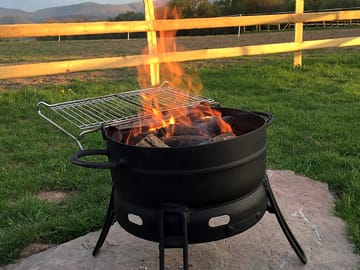 Firepit with wood provided