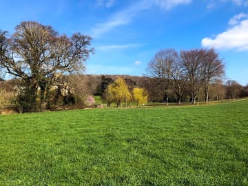 Green pitching field
