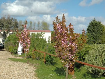 Green haven site