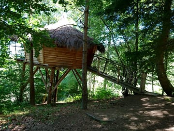 The treehouse surrounded by the forest