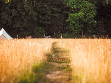 The path into the woods…
