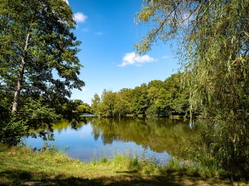 Petit bois lake