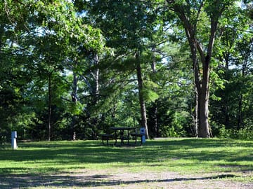 Plenty of space and shade