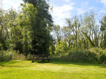 Camping pitch backed by trees