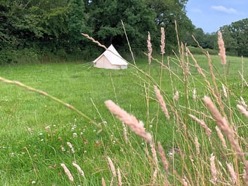 Meadow around the bell tent