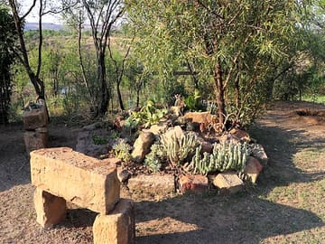 Gardens around the site