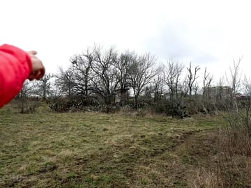 View of the site