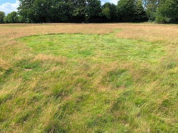 Mown pitches to choose from
