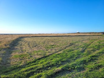 Grass pitches