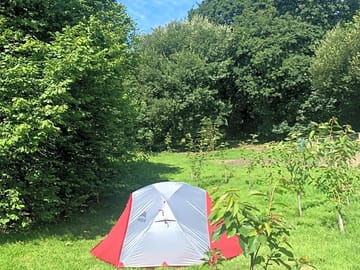 Grass camping pitch