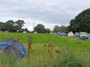 The site