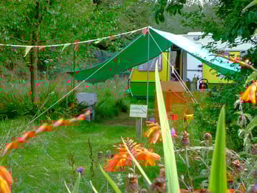 Orchard area
