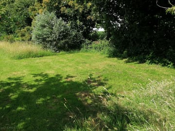 Grassy area