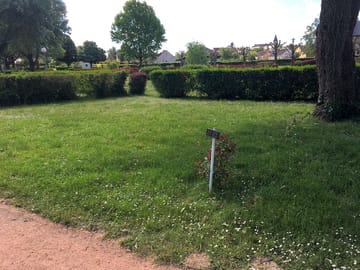 Grass pitches