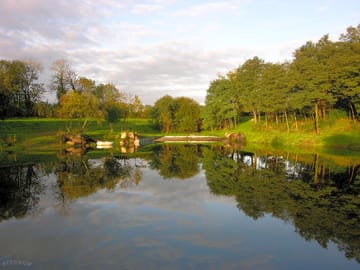 The pond