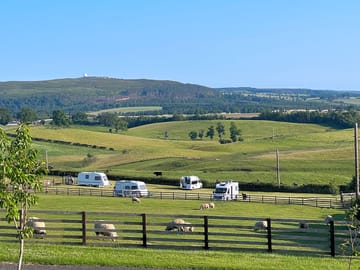 View across the site