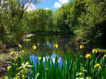 Pretty lakeside spots