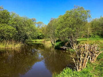 Scenic site