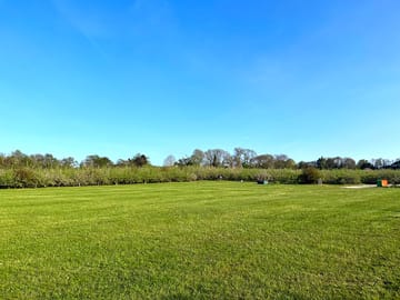 Site layout