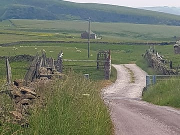 Rural location